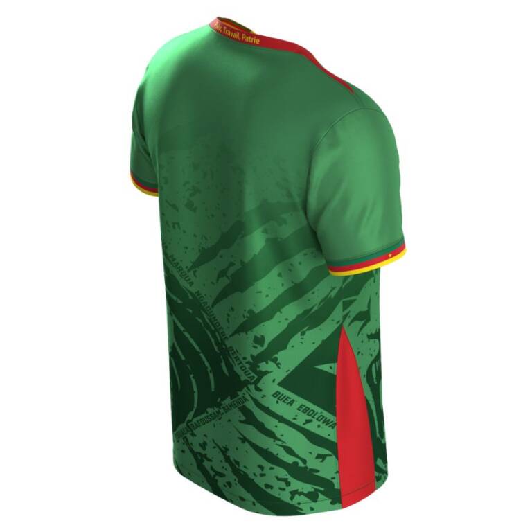 Cameroun domicile 2025-2026