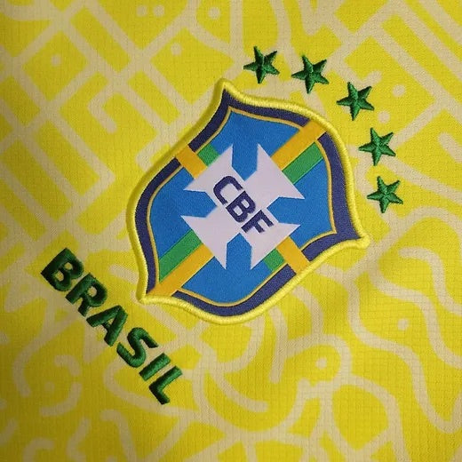 Brésil domicile 2024-2025