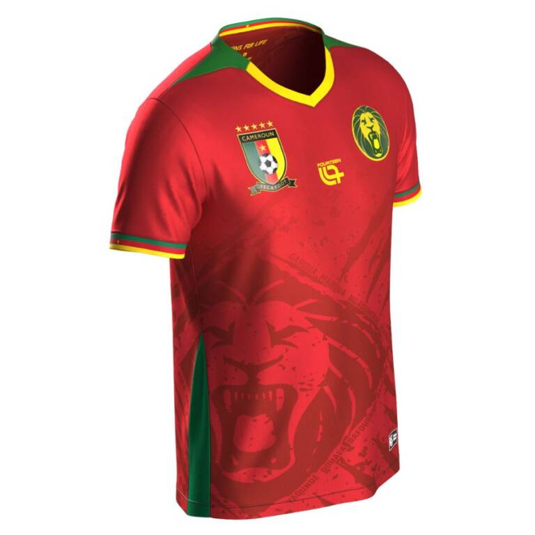 Cameroun extérieur 2025-2026