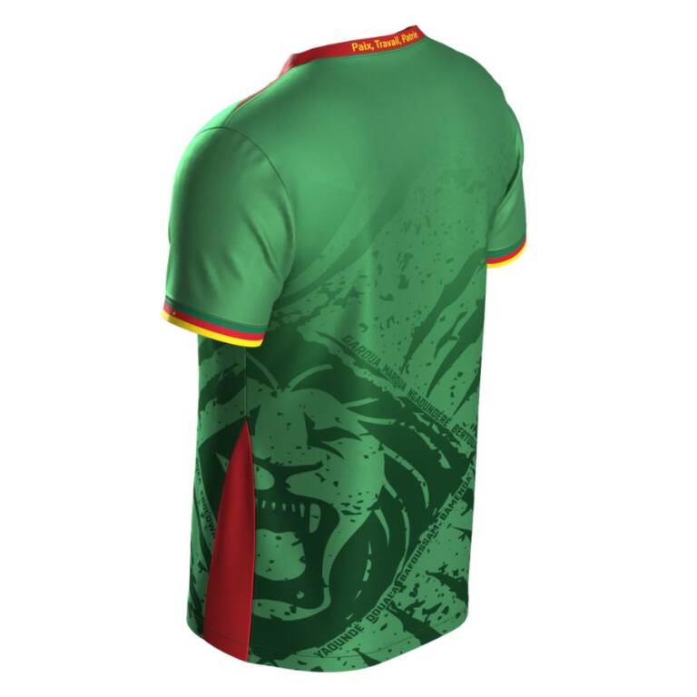 Cameroun domicile 2025-2026