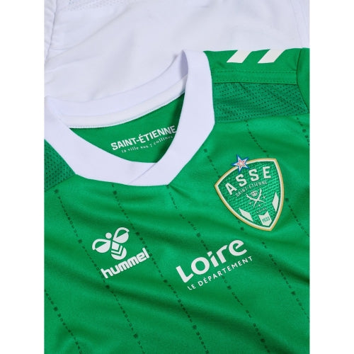 AS Saint-Etienne domicile 2024-2025