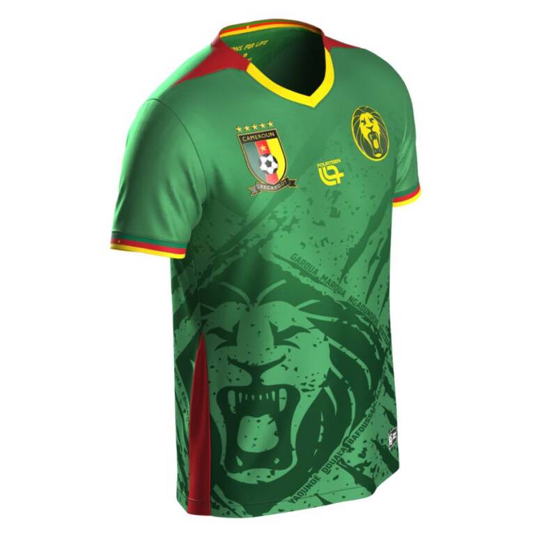Cameroun domicile 2025-2026