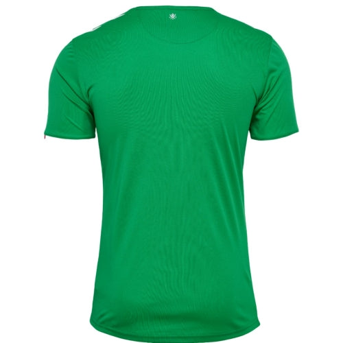 AS Saint-Etienne domicile 2024-2025