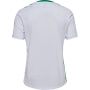 AS Saint-Etienne extérieur 2024-2025